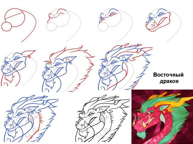 Поэтапное рисование дракона для детей - 48 фото