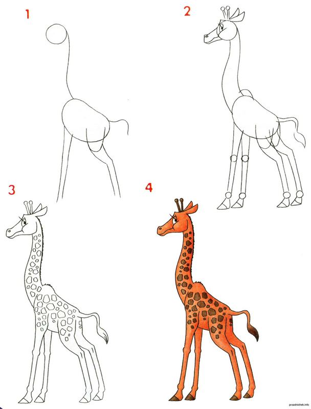 Как нарисовать жирафа | Учимся рисовать жирафа карандашом