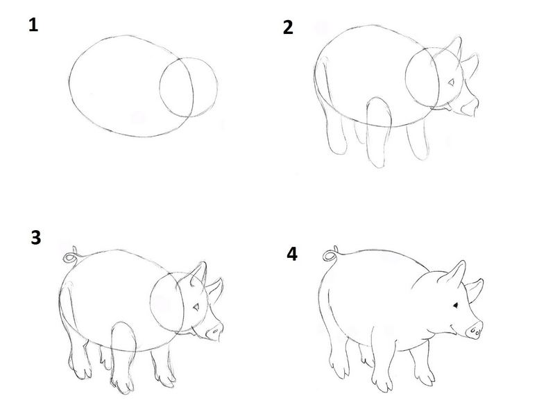 Как нарисовать поросенка (свинку)? Учимся рисовать животных