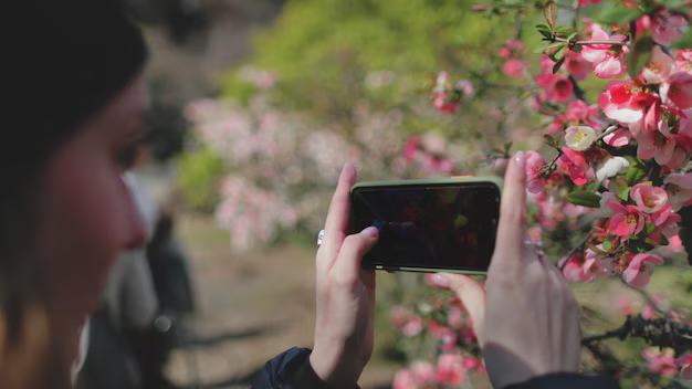 Как фотографировать на смартфон красиво?