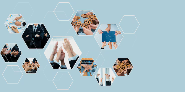 MyCollages - Cделать коллаж онлайн бесплатно