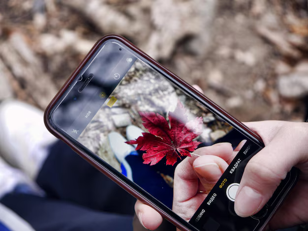 15 лучших фоторедакторов для Android - CQ