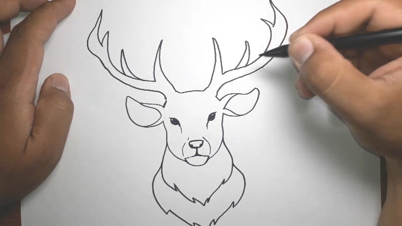 Поэтапное рисование оленя для детей